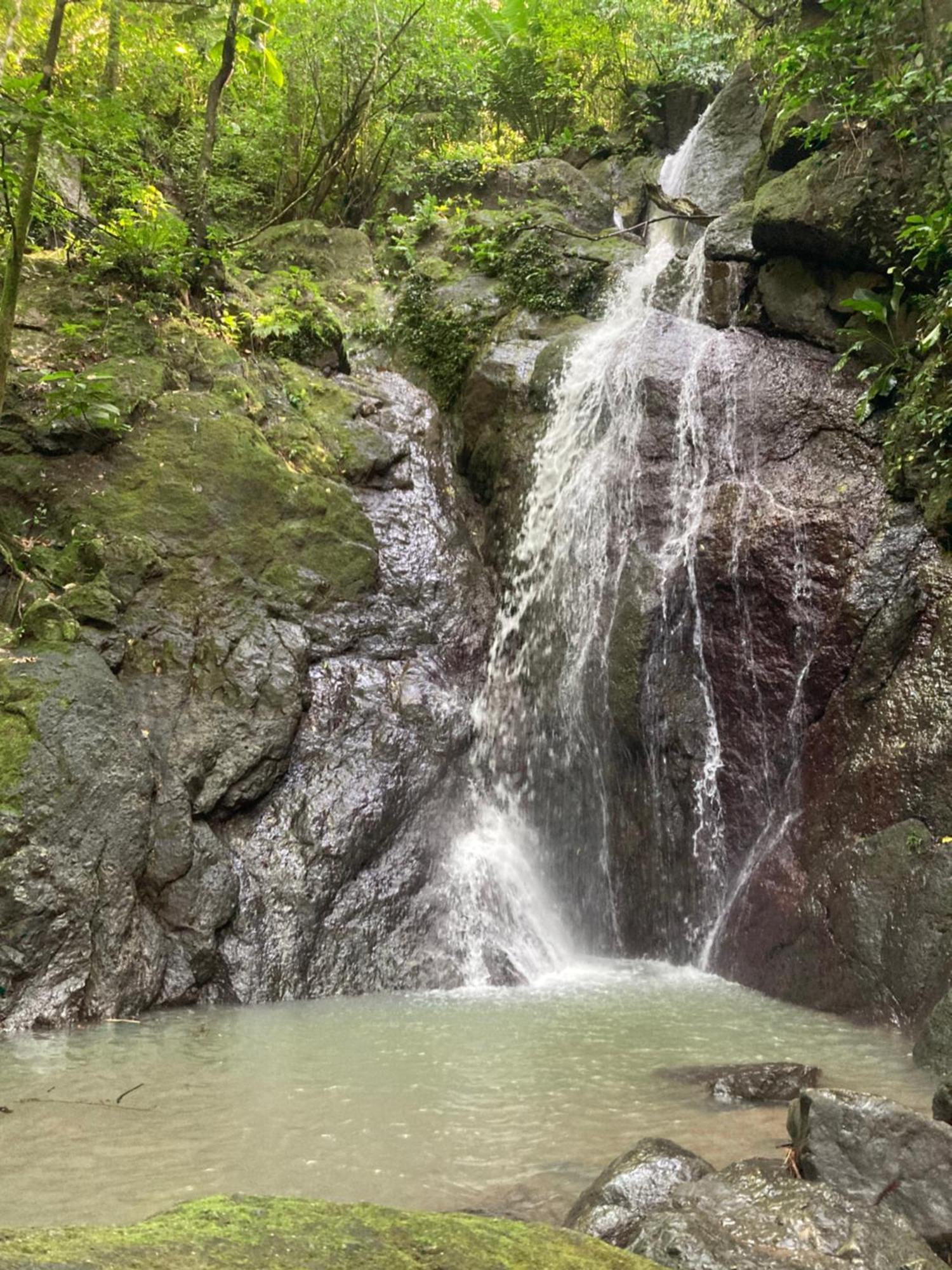 El Chileno Campsite
